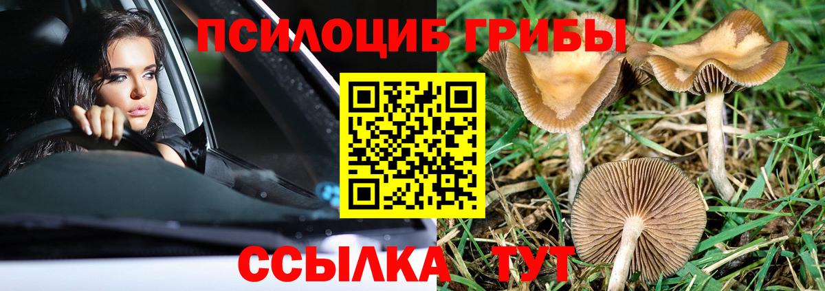 Псилоцибиновые грибы прущие грибы Черемхово